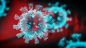coronavirus